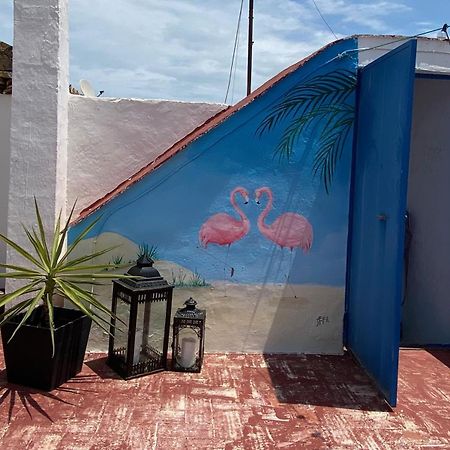 Casa De Los Dos Flamencos Miramar Extérieur photo
